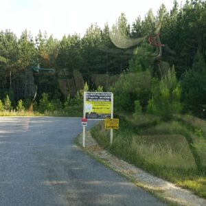 Lot 7 Beale Dr. Disputana, Va. 23842