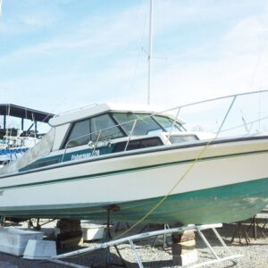 OnSite & Simulcast Boat Auction