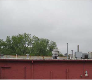 215-217 E. Washington St Suffolk VA 23434