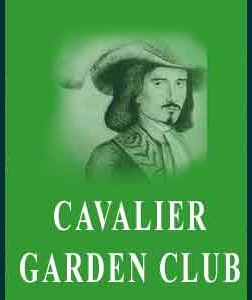 Cavalier Garden Club Auction - Click Here for Details